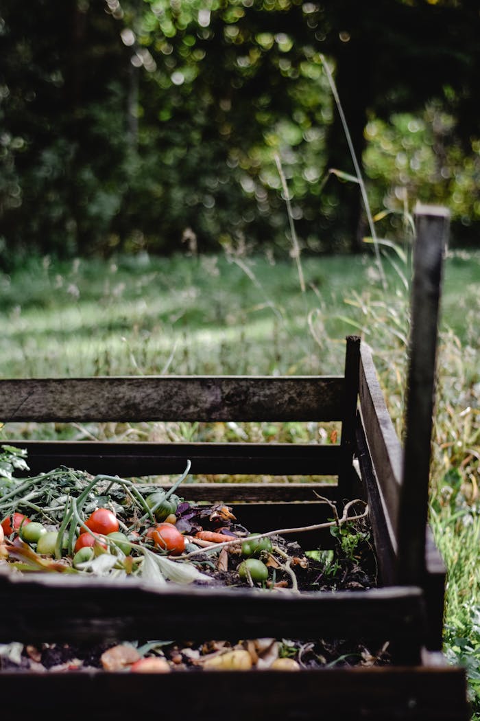 featured-portfolio-05 Wooden compost bin in an Estonian garden with organic waste and vegetables.