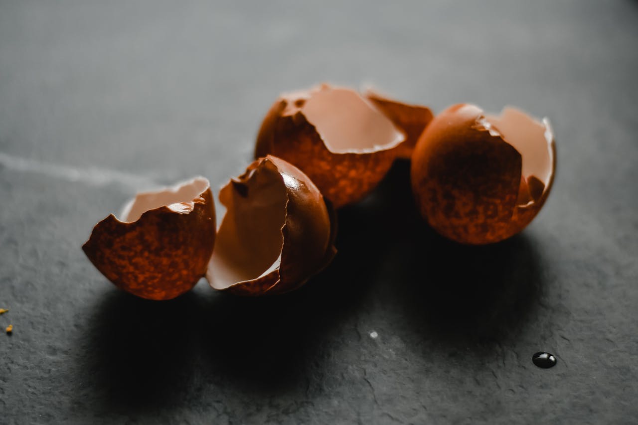 featured-portfolio-01 Macro shot of broken brown eggshells on a dark backdrop, perfect for culinary themes.
