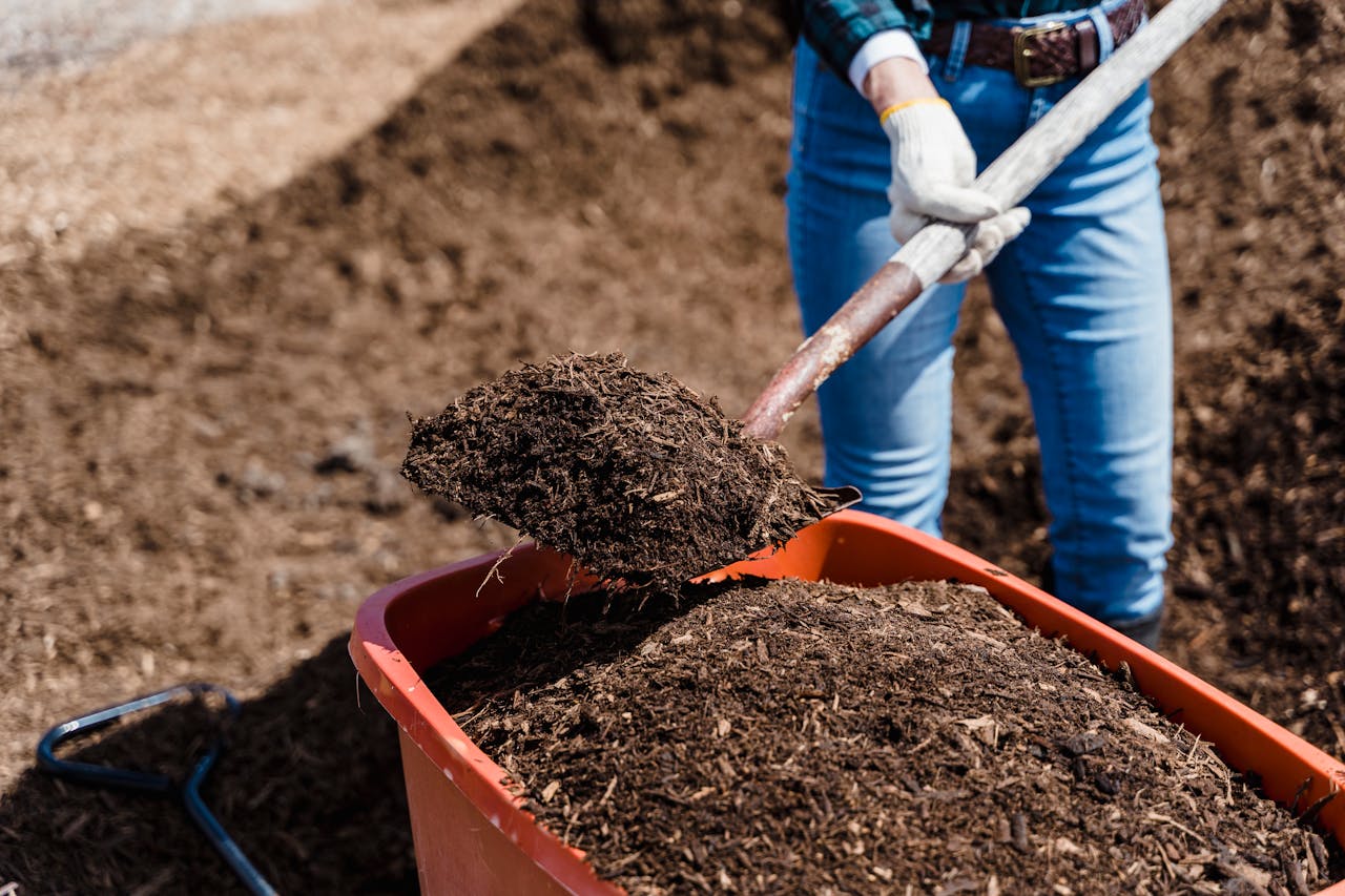 engagements-photography-03 A person shovels compost into a red container, preparing soil for gardening.